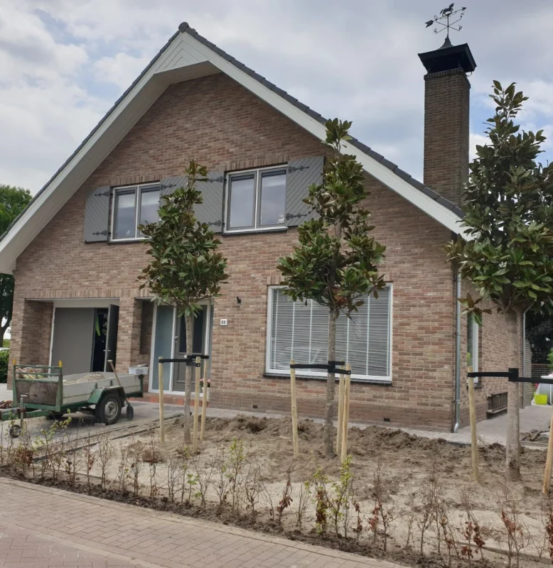 Magnolia Grandiflora (Groenblijvende Tulpenboom / Beverboom)-11