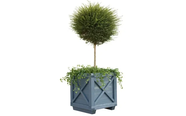 Houten boombak