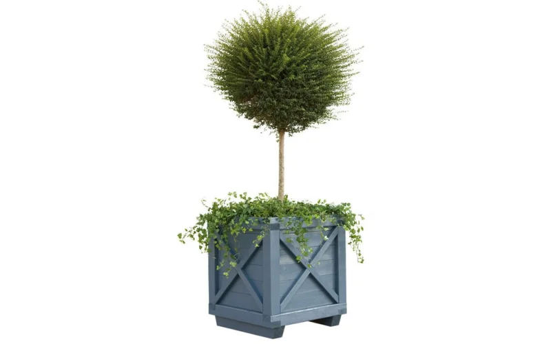 Houten boombak
