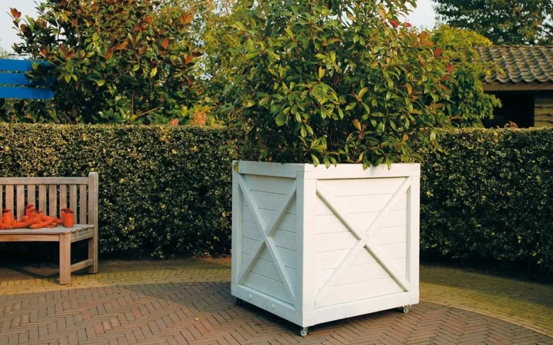Houten boombak-2