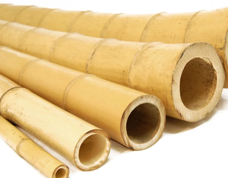 Bamboepaal 300 cm x 100/120 mm