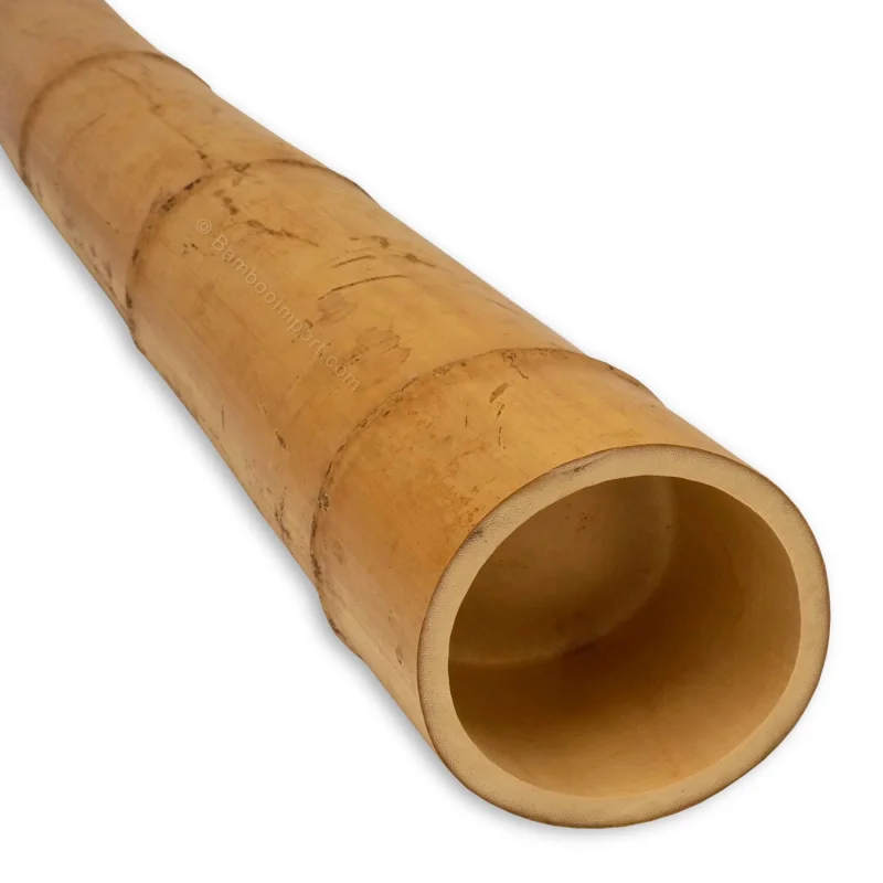 Bamboepaal 500 cm x 100/130 mm-1