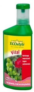 Vital