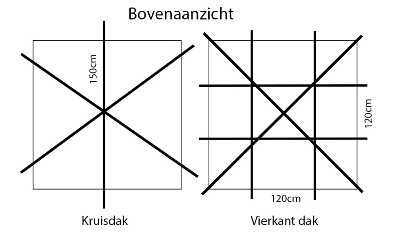 Daksierpeer (Pyrus Call Chanticleer dakvorm)-6