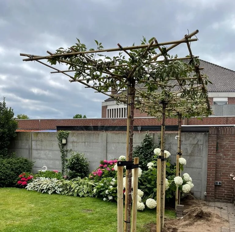 Doorverbinden dakbomen inclusief materialen-2
