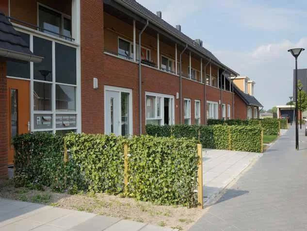 Totaalpakket haagondersteuning