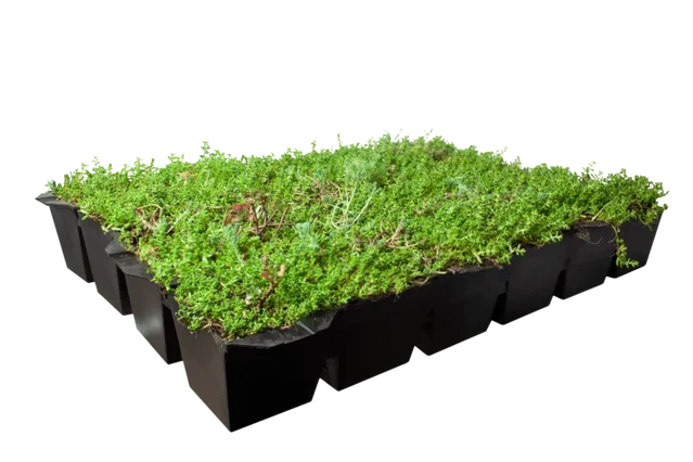 Sedum (Vetkruid) kant en klare dakbedekking (Sedummat)