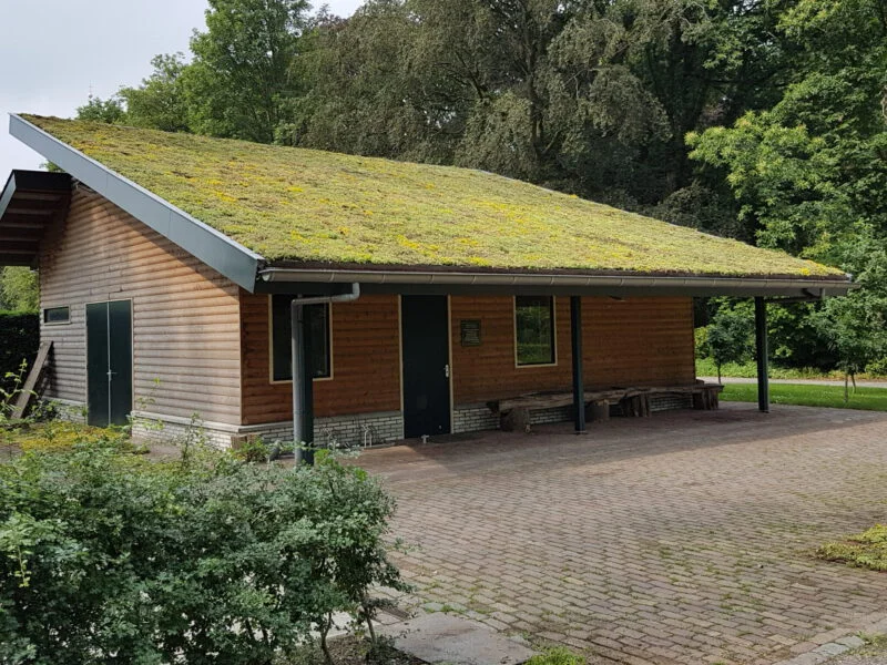 Sedum (Vetkruid) kant en klare dakbedekking (Sedummat)