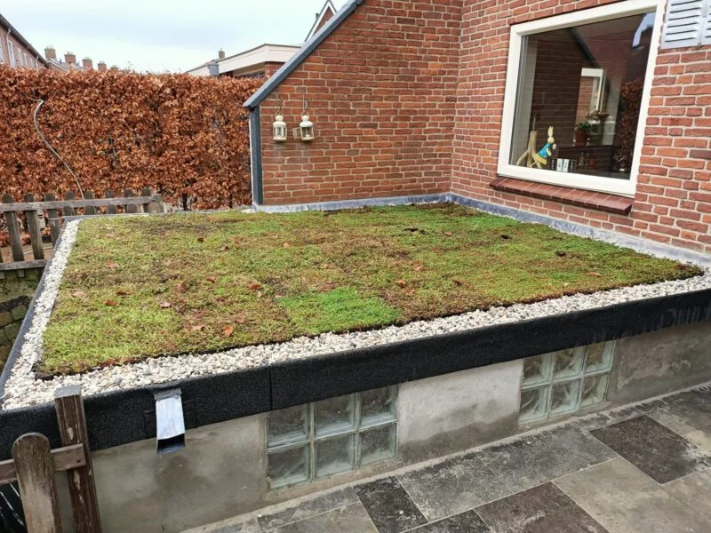 Sedum (Vetkruid) kant en klare dakbedekking (Sedummat)-5