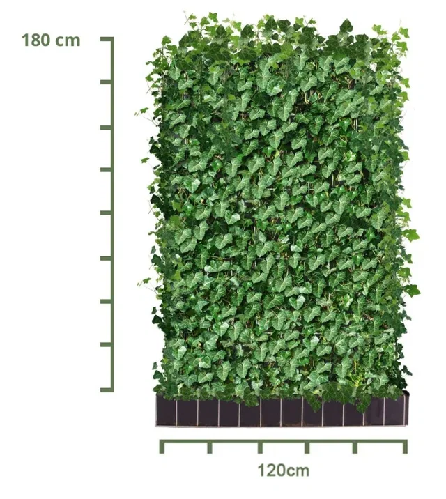 Hedera Helix Haagelement (Klimop kant en klaar haag kopen)
