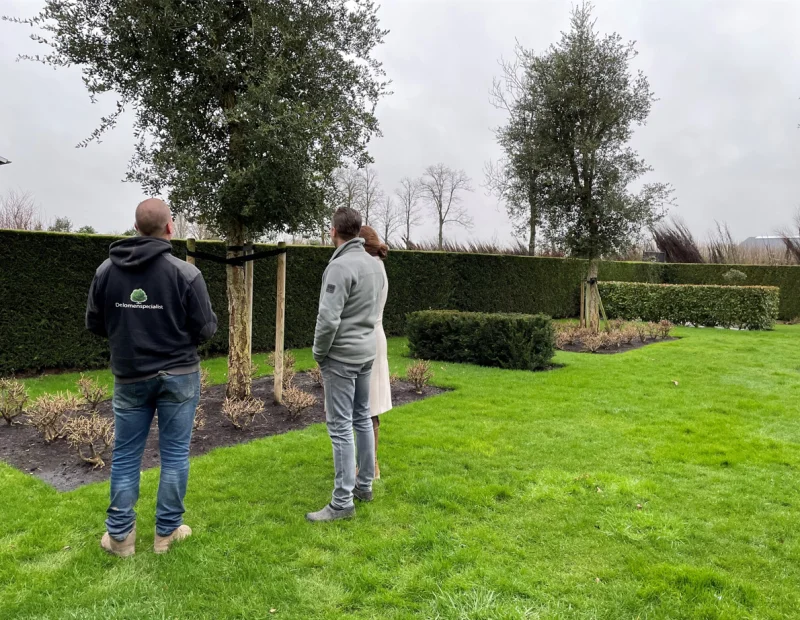 Advies op locatie-1