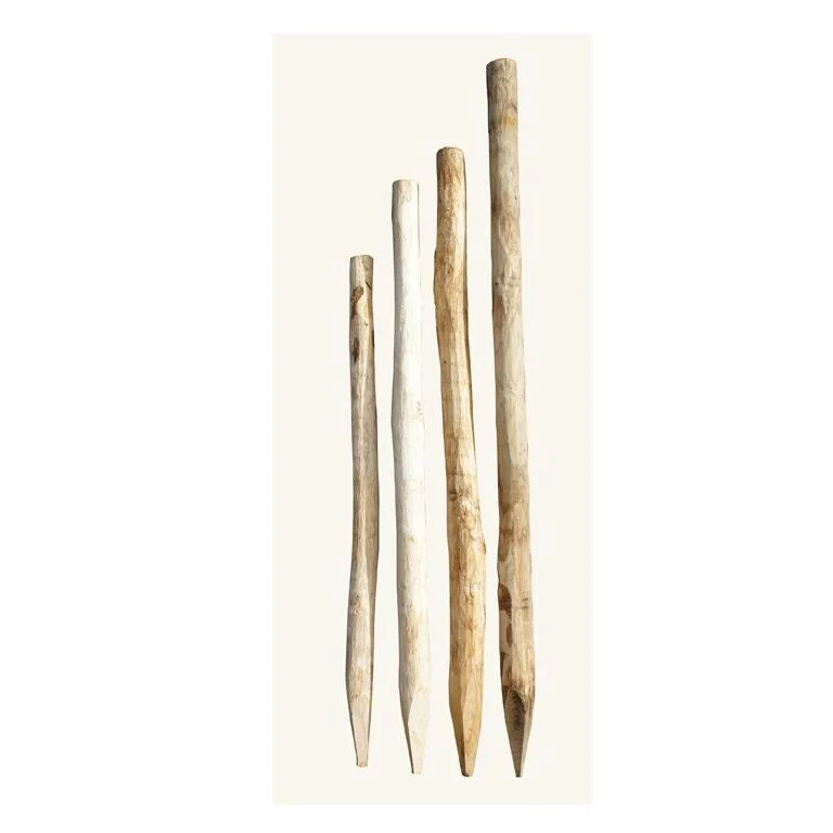 Kastanje paal  Ø 4/6 CM