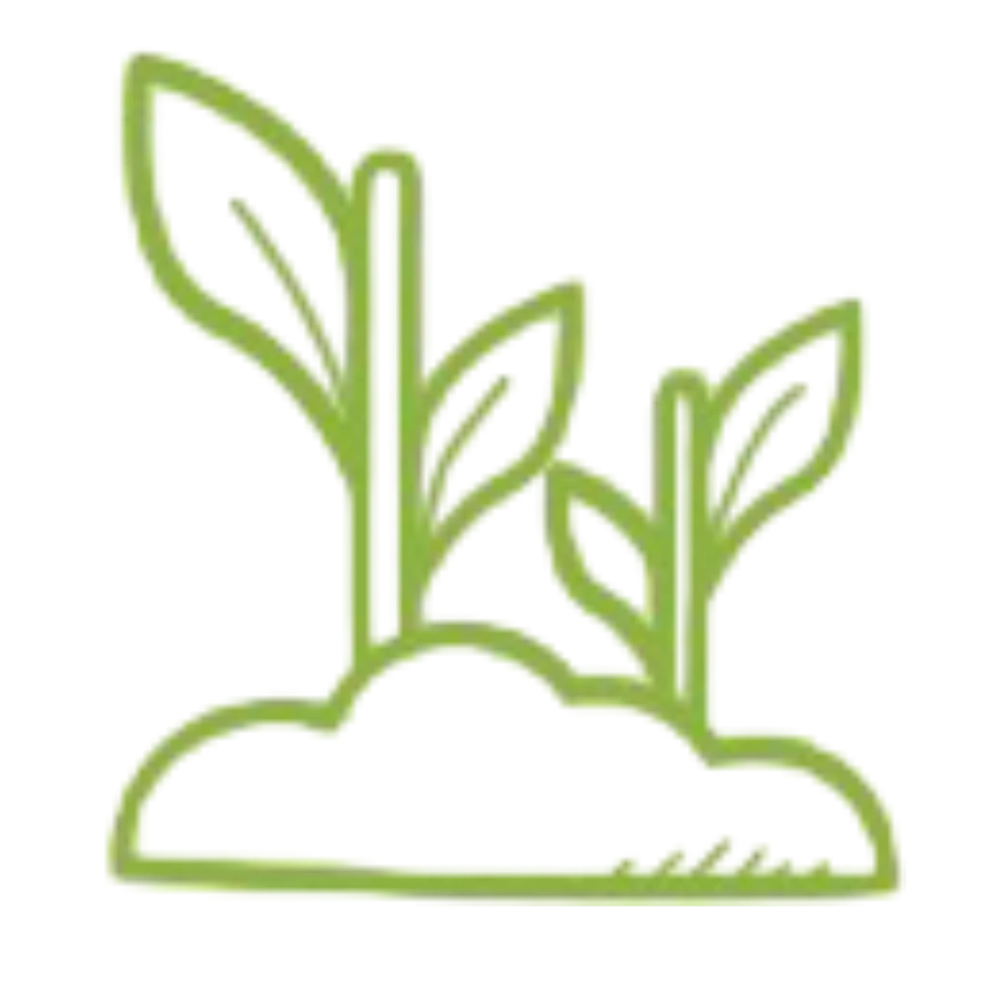 Beplantingsplan